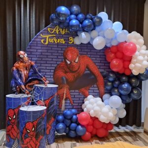 Spiderman Birthday Theme Decor