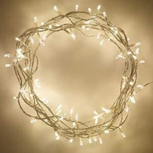 Led Fairy Lights 22 Foot -220 V Plug operated